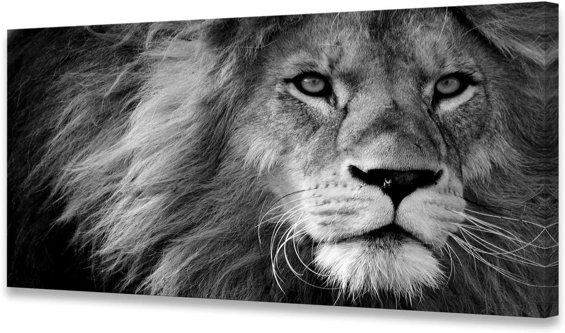 Black and white lion canvas wall print, stretched on wooden frame, modern contemporary art for home office — view 1