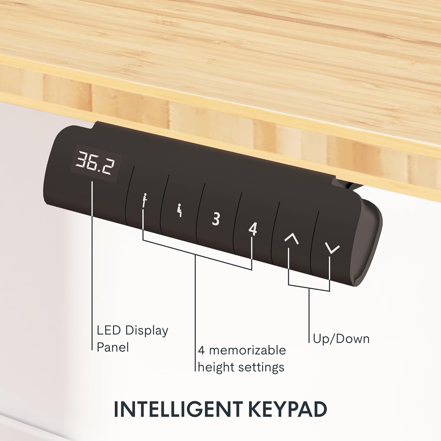 [Color] bamboo desktop electric standing desk with steel frame, shown at [height position], featuring [detail view] — view 2